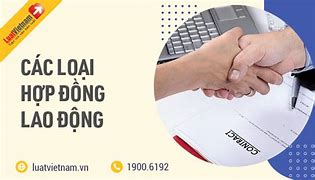 255 Có Mấy Loại Hợp Đồng Lao Động