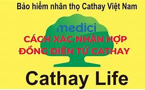 Bảo Hiểm Nhân Thọ Cathay Life Hải Phòng 04