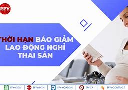 Nghỉ Thai Sản Trước Ngày 15 Báo Giảm Tháng Nào