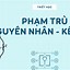 Phạm Trù Của Bản Chất Và Hiện Tượng