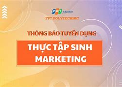 Ttb Group Thái Bình Dương Tuyển Dụng Thực Tập Sinh 2024